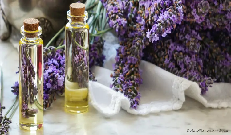 Aromatherapie Flaschen mit Lavendel für erholsamen Schlaf