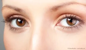 Augen lesen – Augentypen nach Hildegard von Bingen